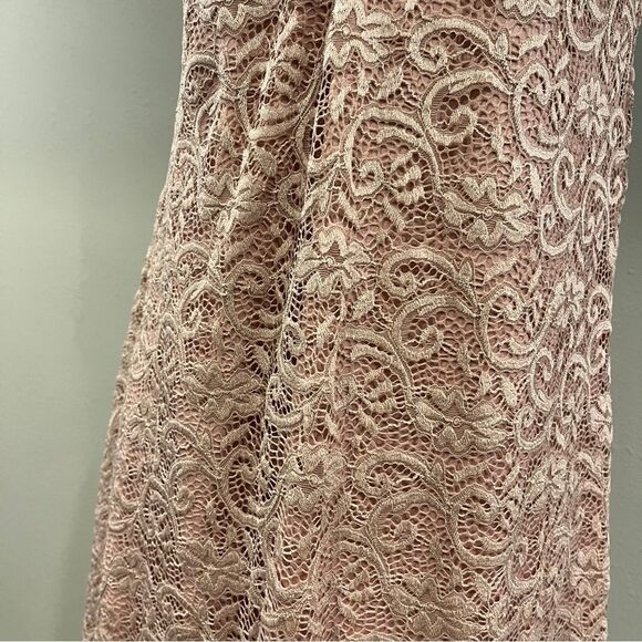 Liberty love pale Pink Lace Sleeveless mini a-line Dress size large - Picture 4 of 12
